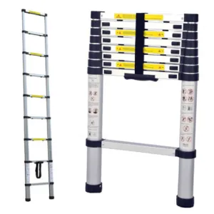 2.0m Portable telescopic ladder Silver