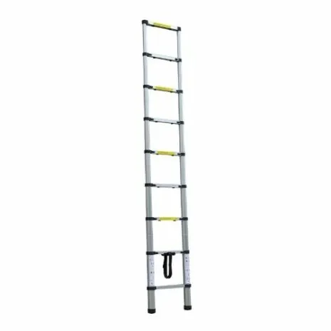 2.0m Portable telescopic ladder Silver