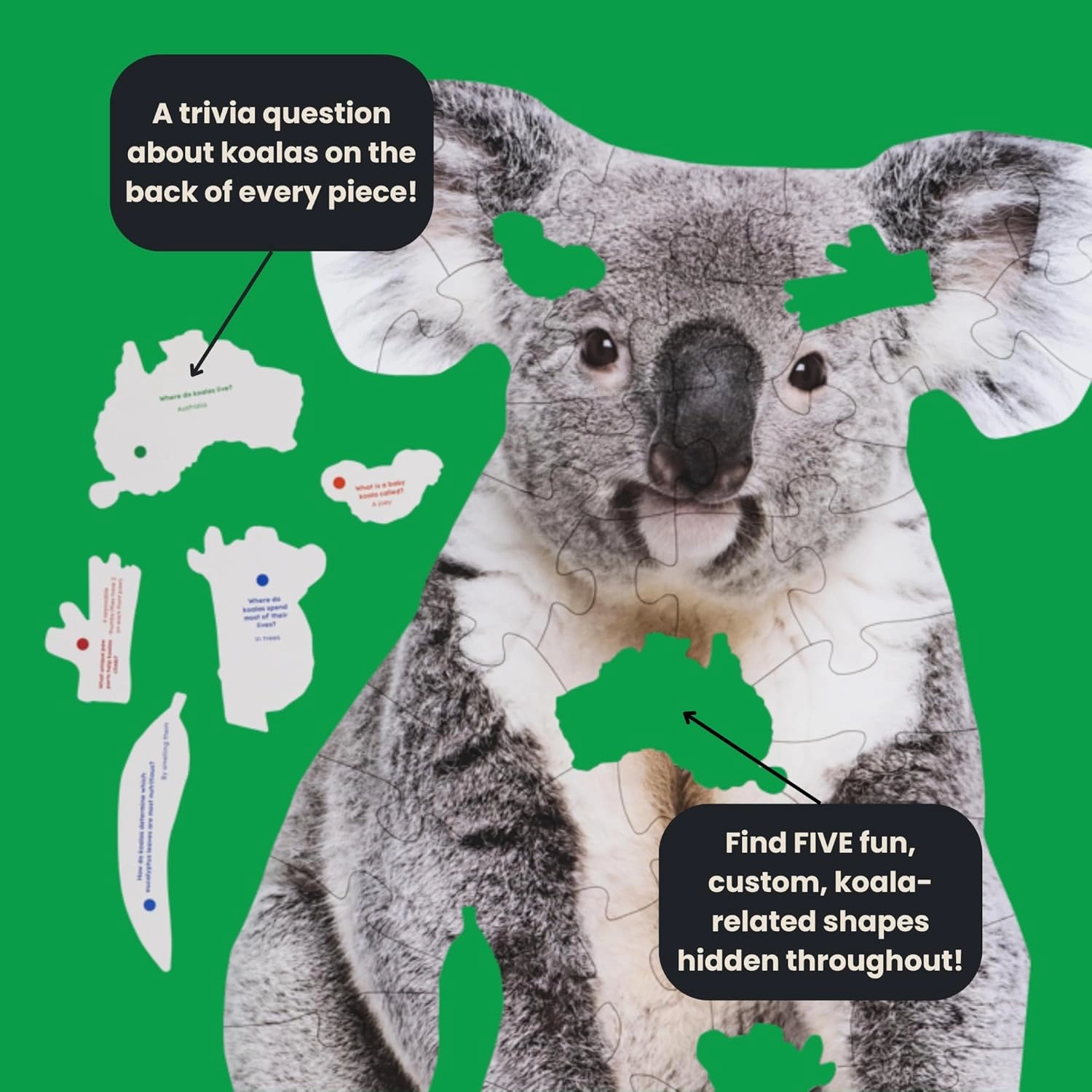 50 Piece Trivia Floor Jigsaw Puzzle - Life Size Koala - Educational Trivia On Each Piece – Fun Gift for Kids Enjoyable for Adults, Ages 3  XL Puzzle Size Assembled 24" x 32.5" - Made in USA