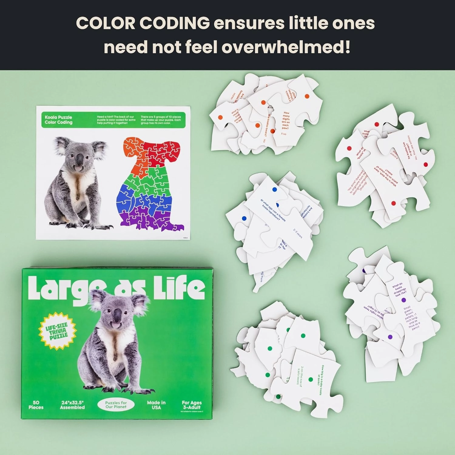 50 Piece Trivia Floor Jigsaw Puzzle - Life Size Koala - Educational Trivia On Each Piece – Fun Gift for Kids Enjoyable for Adults, Ages 3  XL Puzzle Size Assembled 24" x 32.5" - Made in USA