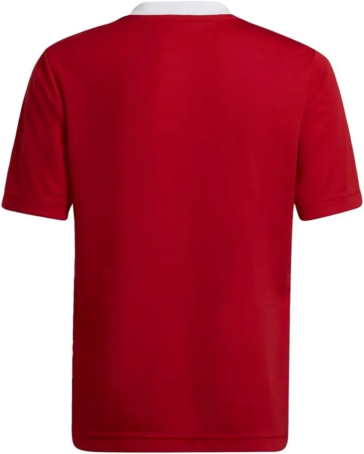adidas Kids' Entrada 22 Jersey