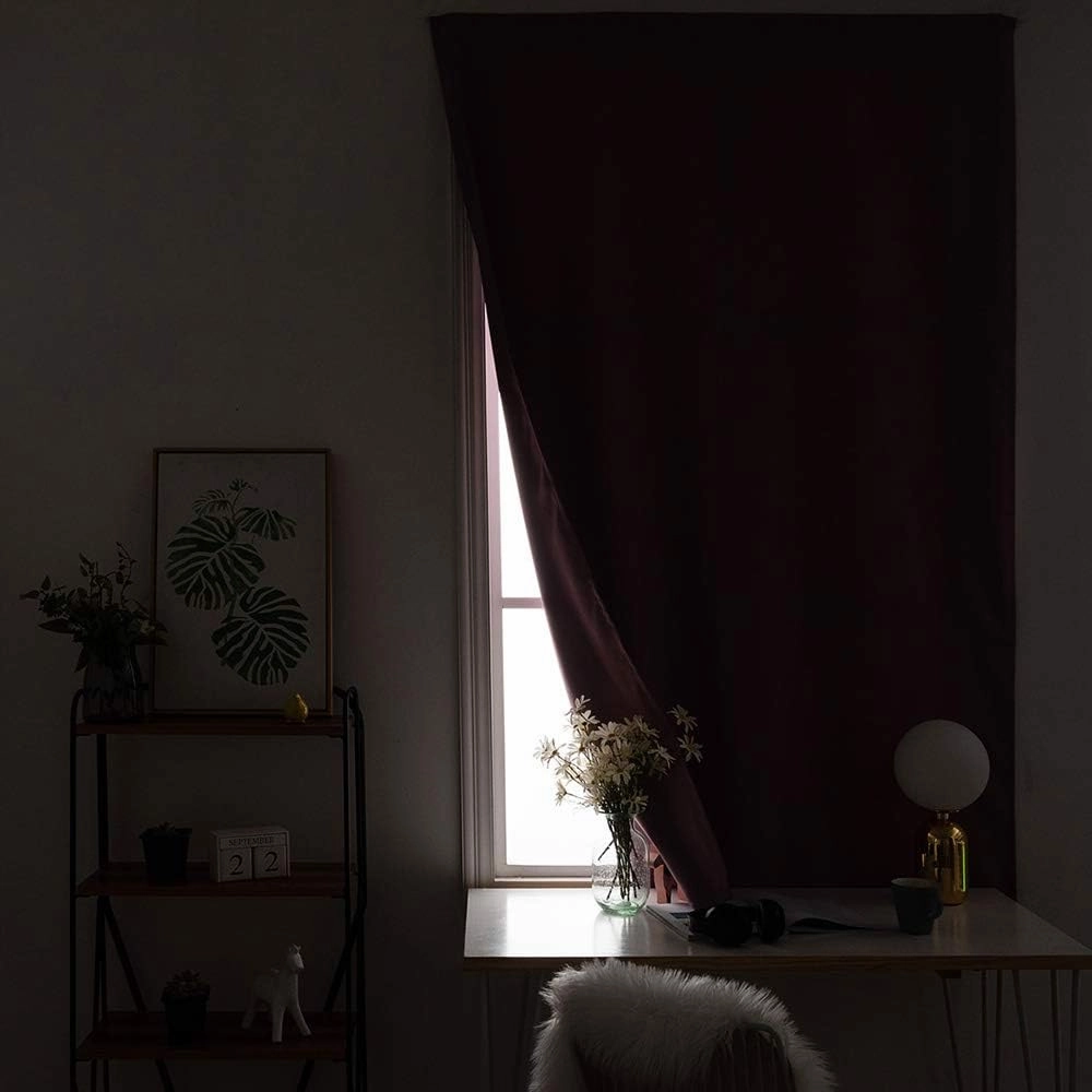 Autohesion Curtains, Animal Window Curtain Panel, Nile Crocodile Swimming in the River Rock Print Thermal Lnsulated Room Darkening Small Drapes,59W x72L Inches, for Bathroom Living Room Bedroom
