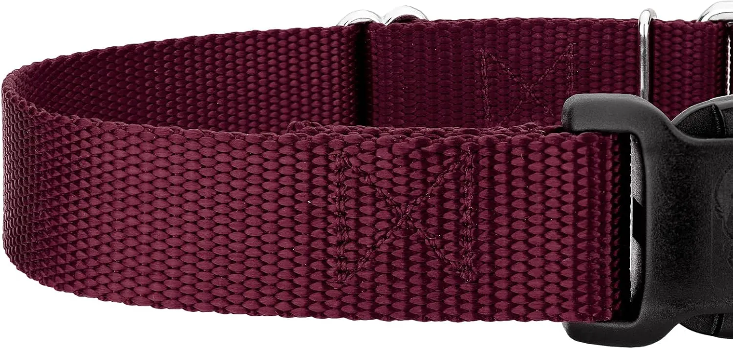 Country Brook Petz Heavy Duty Nylon Adjustable Martingale Dog Collar with Deluxe Buckle for Small Medium Large Breeds - 30  Vibrant Color Options (3/4 Inch, Small, Burgundy)