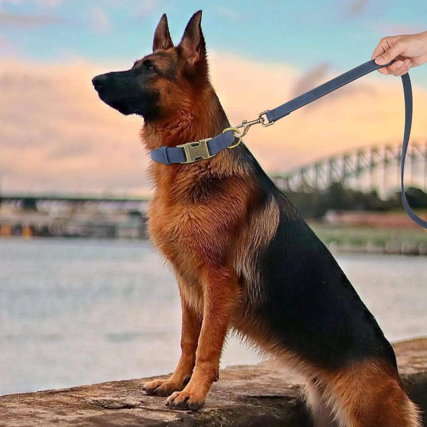 Didog Soft Leather Dog Collar, Durable Quick Released Dog Collars with Metal Buckle, Adjustable Pet Collar Faux Leather for Large Medium Dogs, Blue, L Fit 15-23" Neck