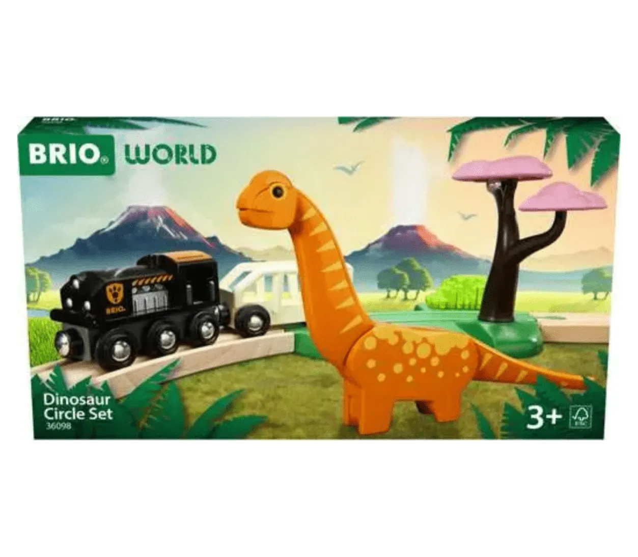 Dinosaur Circle Set