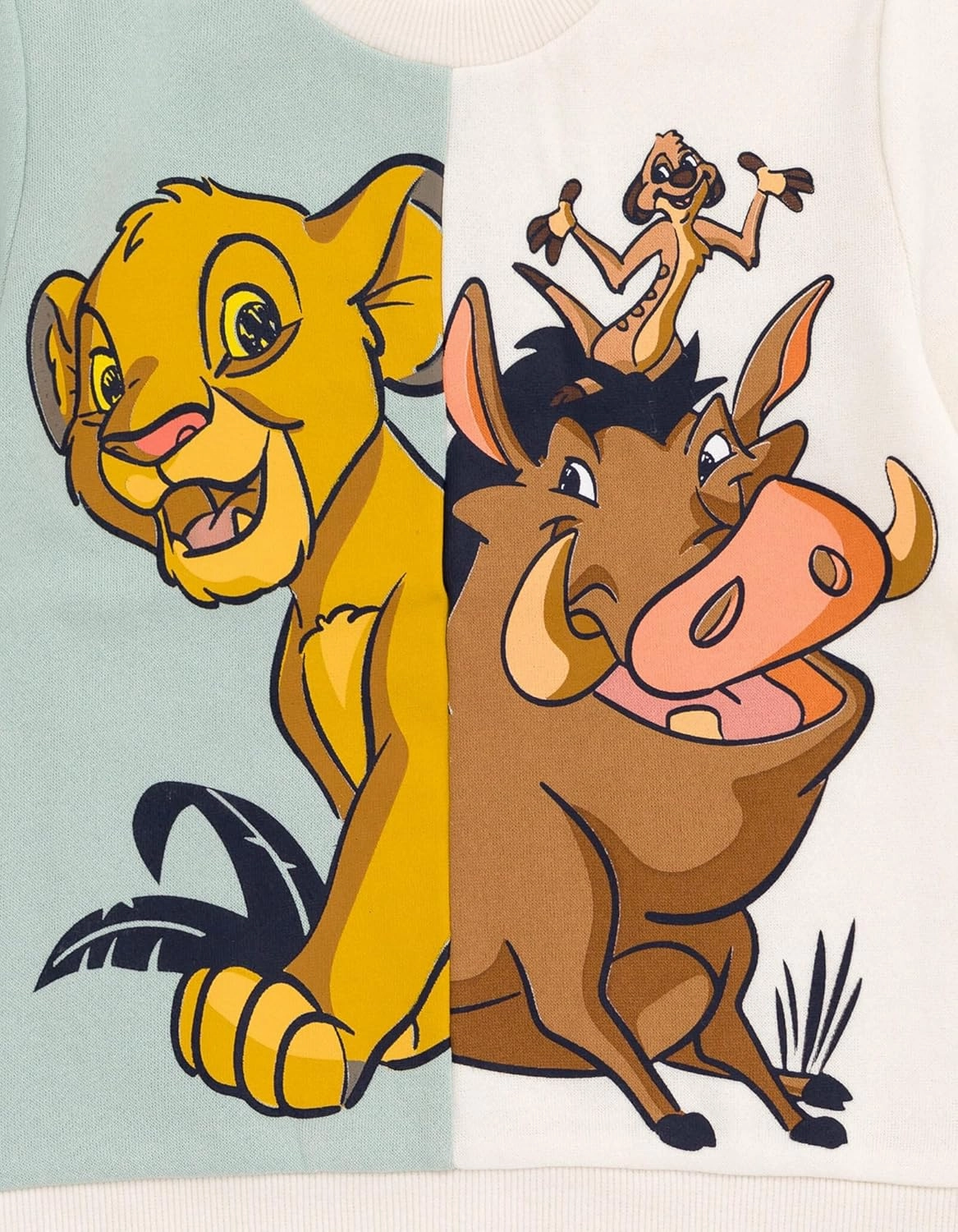 Disney Lion King Mickey Mouse Cars Toy Story Sweatshirt Toddler to Big Kid Sizes (2T - 18-20)