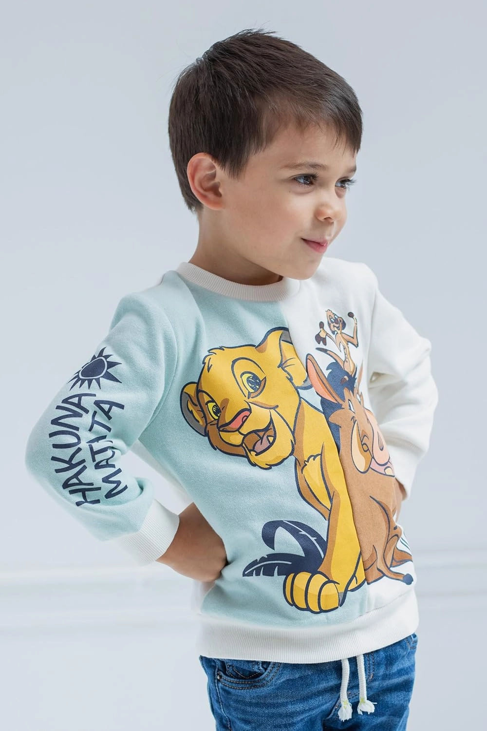 Disney Lion King Mickey Mouse Cars Toy Story Sweatshirt Toddler to Big Kid Sizes (2T - 18-20)