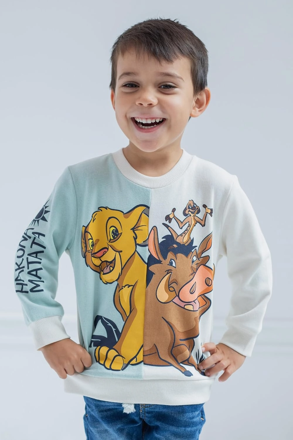 Disney Lion King Mickey Mouse Cars Toy Story Sweatshirt Toddler to Big Kid Sizes (2T - 18-20)
