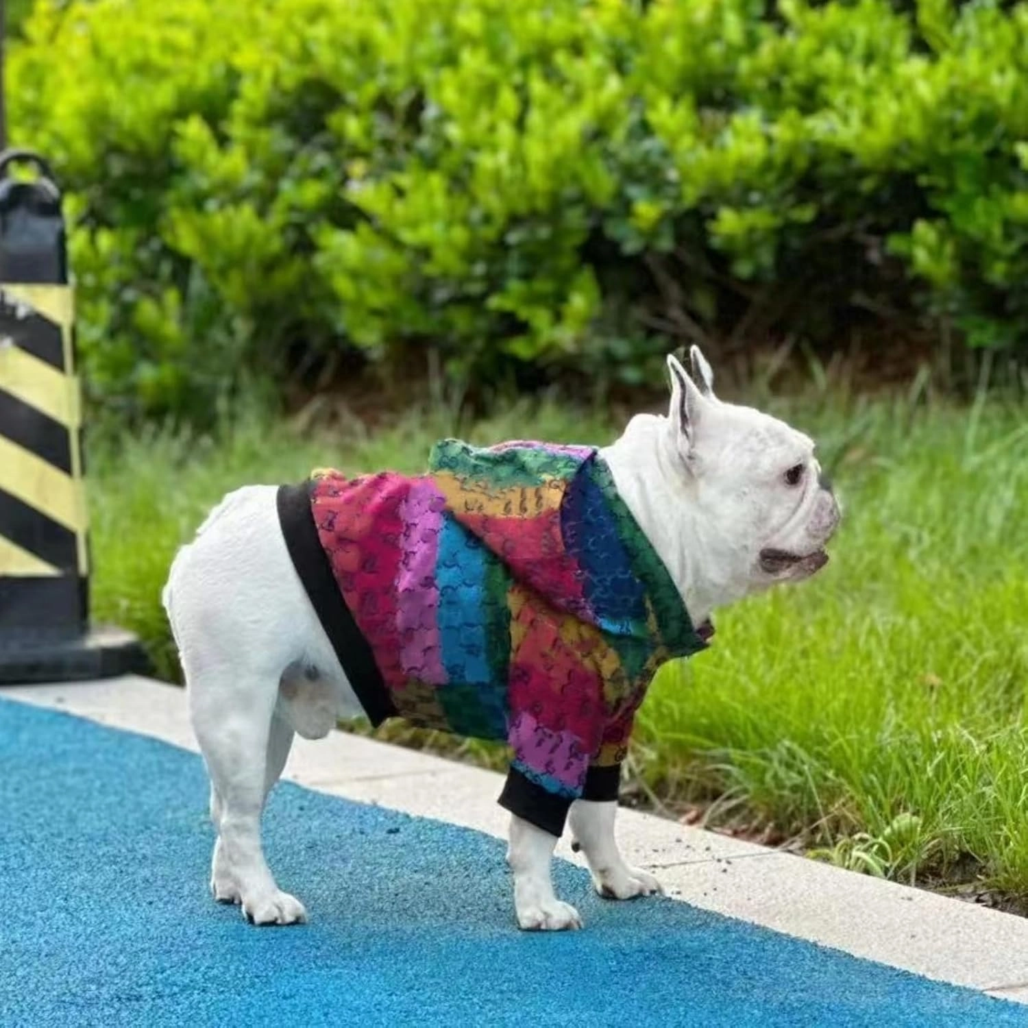 Dog Hoodie Luxury Dog Clothes Winter Dog Jacket Classic Designer Small Dog Coats Warm Pet Dog Coat Zipper Design Easy On/Off French Bulldog Teddy Pug Puppy Clothes(XXL)