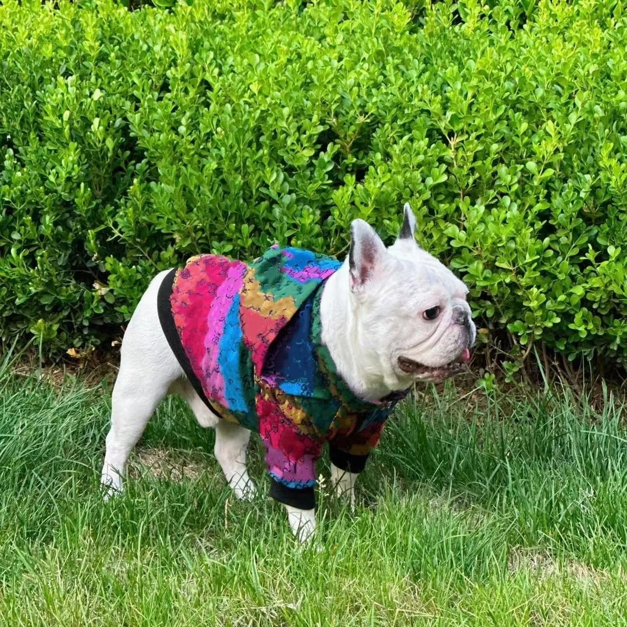 Dog Hoodie Luxury Dog Clothes Winter Dog Jacket Classic Designer Small Dog Coats Warm Pet Dog Coat Zipper Design Easy On/Off French Bulldog Teddy Pug Puppy Clothes(XXL)
