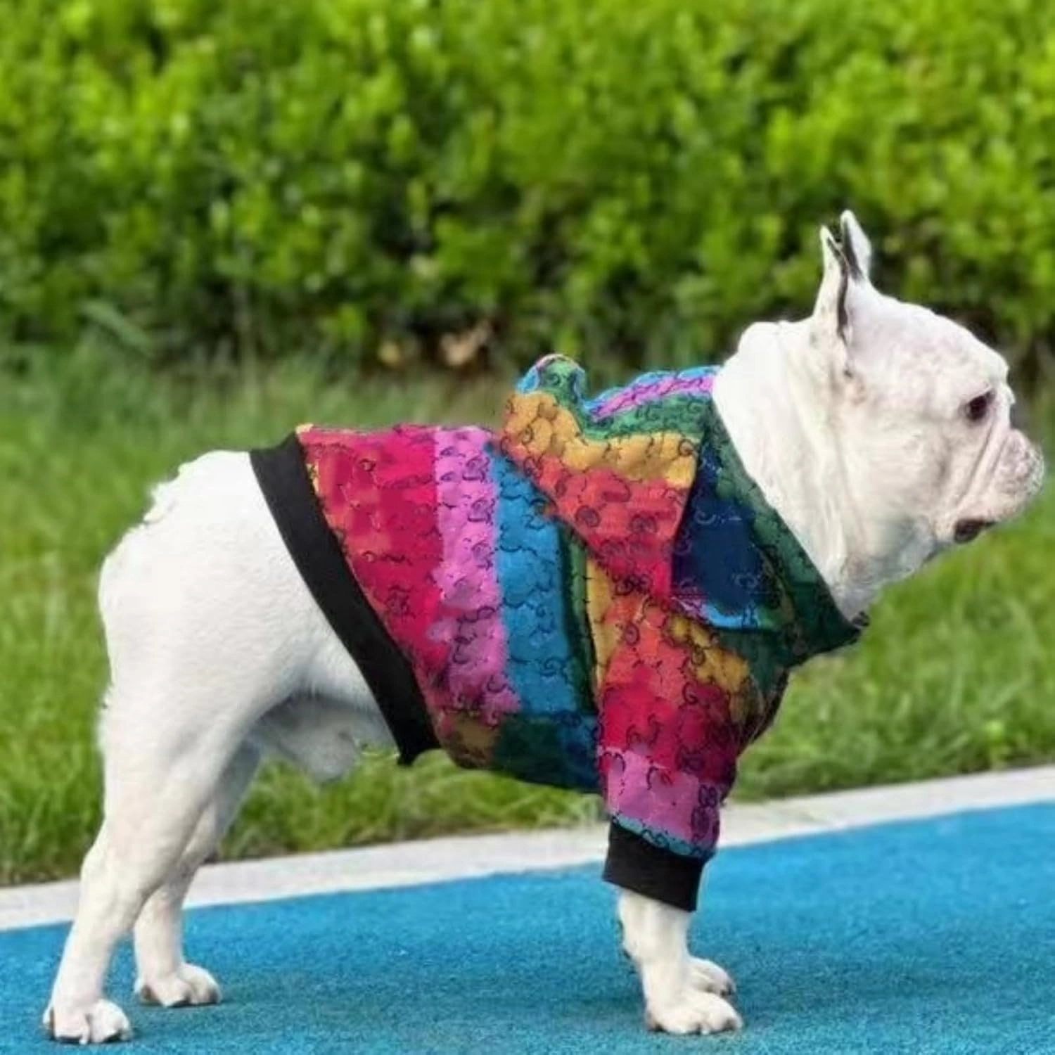 Dog Hoodie Luxury Dog Clothes Winter Dog Jacket Classic Designer Small Dog Coats Warm Pet Dog Coat Zipper Design Easy On/Off French Bulldog Teddy Pug Puppy Clothes(XXL)