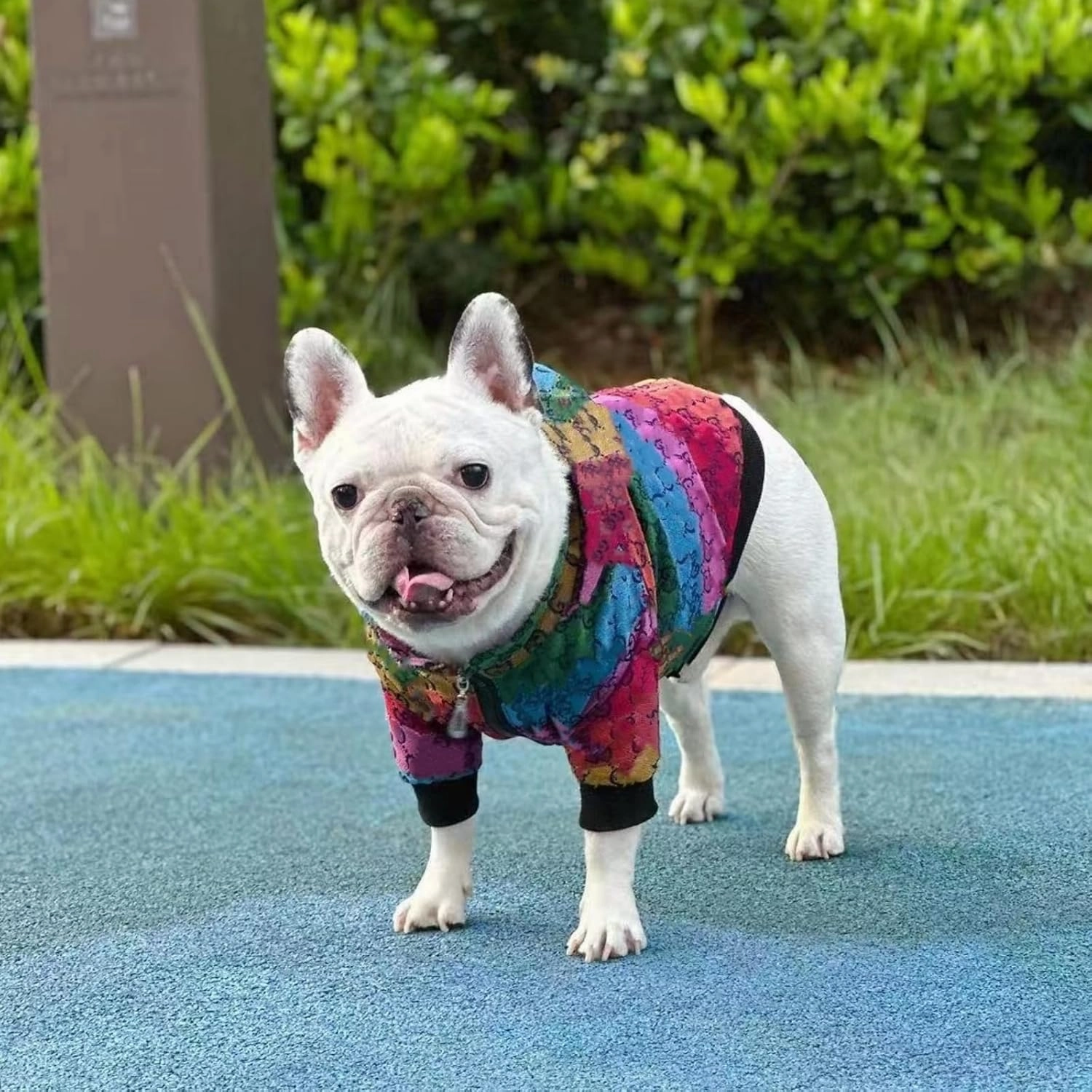Dog Hoodie Luxury Dog Clothes Winter Dog Jacket Classic Designer Small Dog Coats Warm Pet Dog Coat Zipper Design Easy On/Off French Bulldog Teddy Pug Puppy Clothes(XXL)