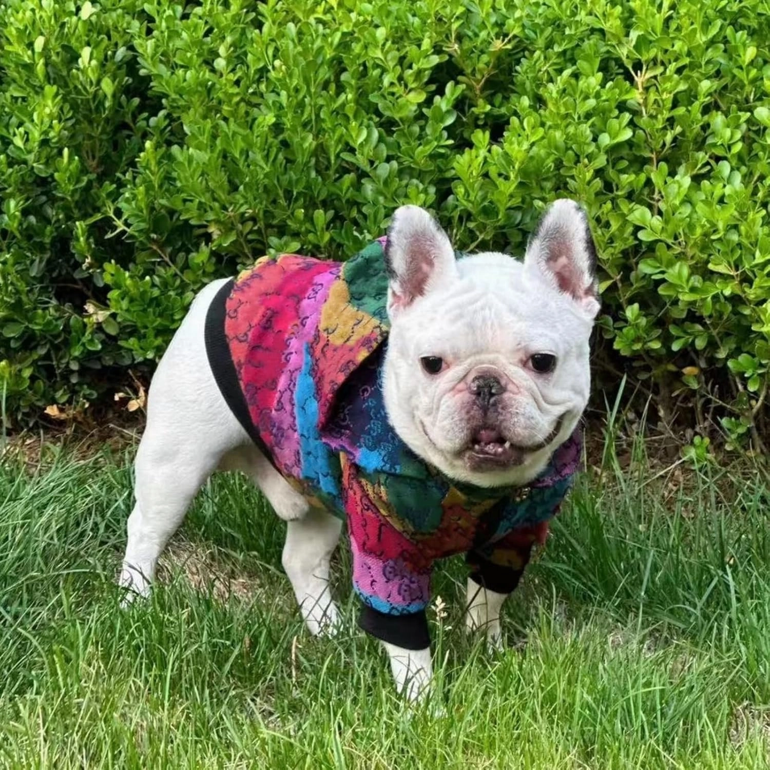 Dog Hoodie Luxury Dog Clothes Winter Dog Jacket Classic Designer Small Dog Coats Warm Pet Dog Coat Zipper Design Easy On/Off French Bulldog Teddy Pug Puppy Clothes(XXL)