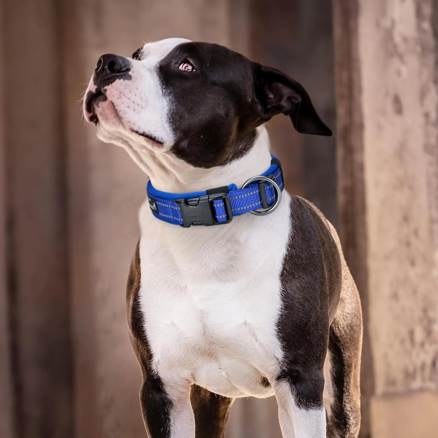 EXCELLENT ELITE SPANKER Reflective Dog Collar Classic Soft Padded Breathable Nylon Adjustable Pet Collar with Quick Release Buckle for Boy Girl Male Female Small Medium Large Dogs Training(Purple-L)