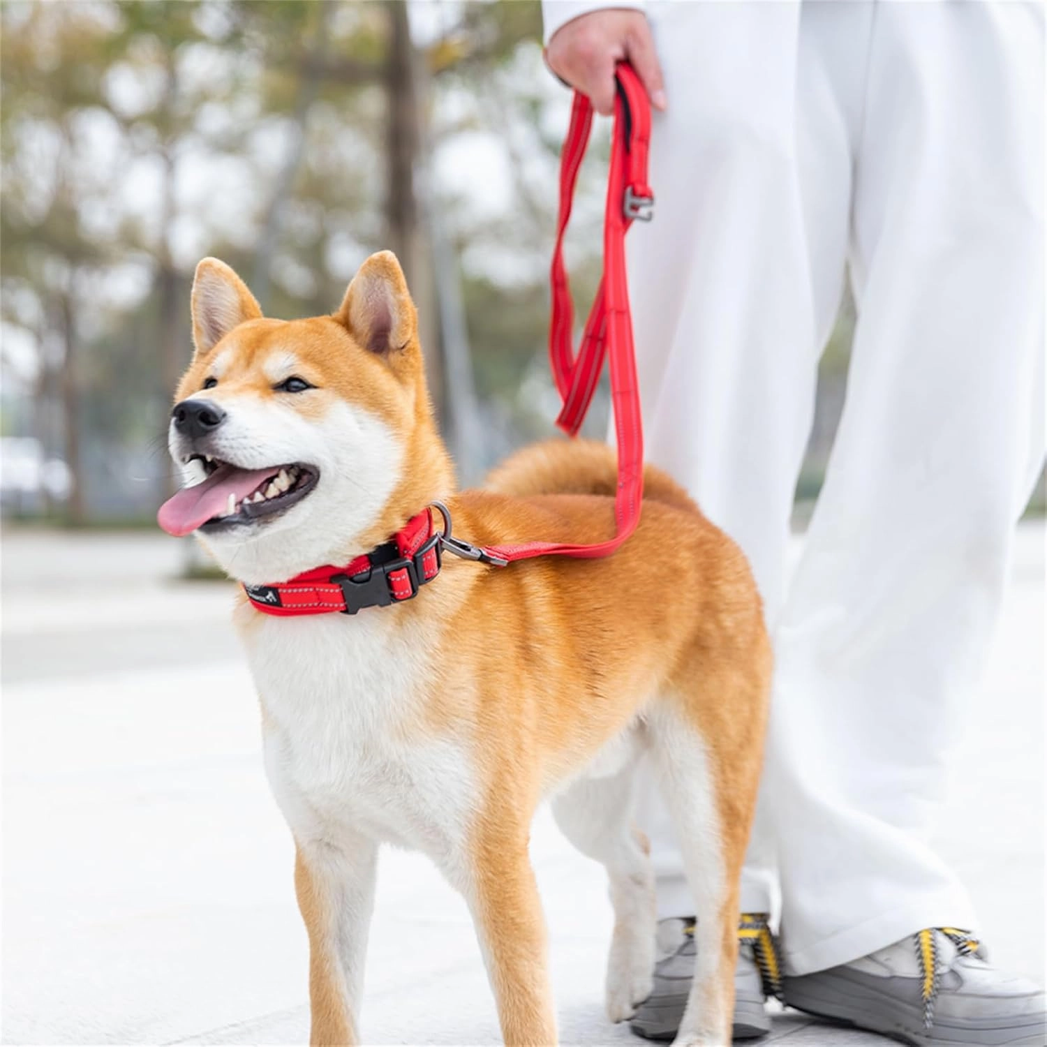 EXCELLENT ELITE SPANKER Reflective Dog Collar Classic Soft Padded Breathable Nylon Adjustable Pet Collar with Quick Release Buckle for Boy Girl Male Female Small Medium Large Dogs Training(Purple-L)