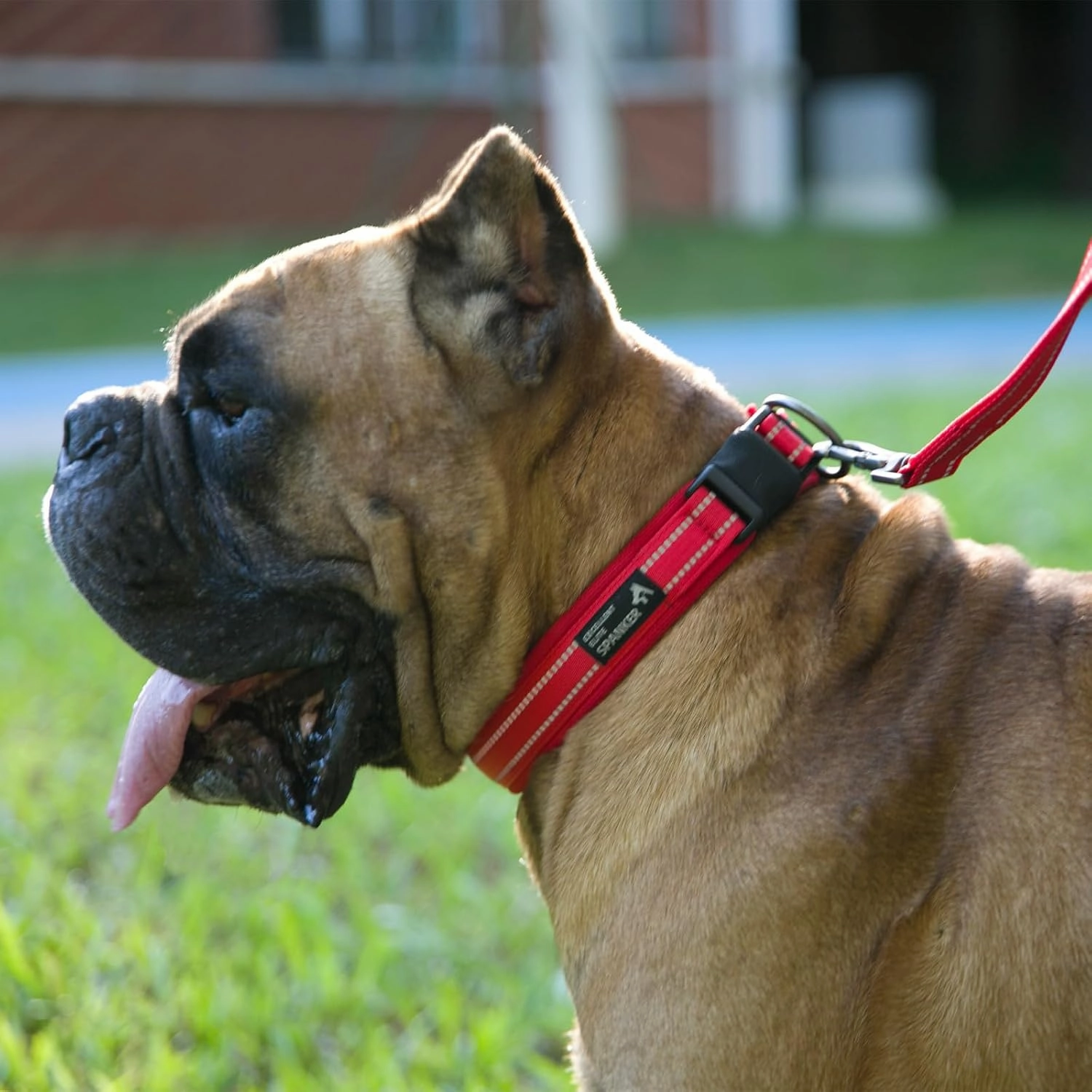 EXCELLENT ELITE SPANKER Reflective Dog Collar Classic Soft Padded Breathable Nylon Adjustable Pet Collar with Quick Release Buckle for Boy Girl Male Female Small Medium Large Dogs Training(Purple-L)