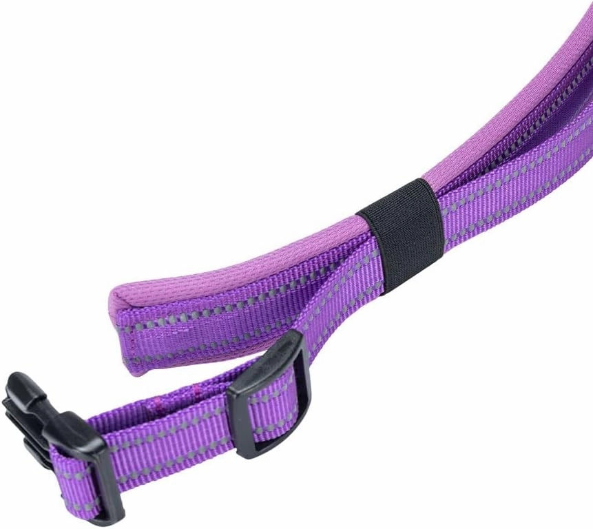 EXCELLENT ELITE SPANKER Reflective Dog Collar Classic Soft Padded Breathable Nylon Adjustable Pet Collar with Quick Release Buckle for Boy Girl Male Female Small Medium Large Dogs Training(Purple-L)