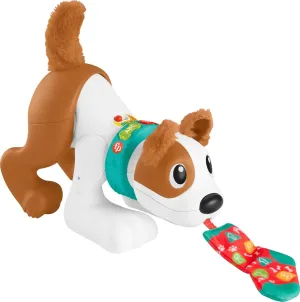 Fisher-Price Baby Learning Toy 123 Crawl with Me Puppy Electronic Dog with Smart Stages Content & Lights for Ages 6  Months (Amazon Exclusive)