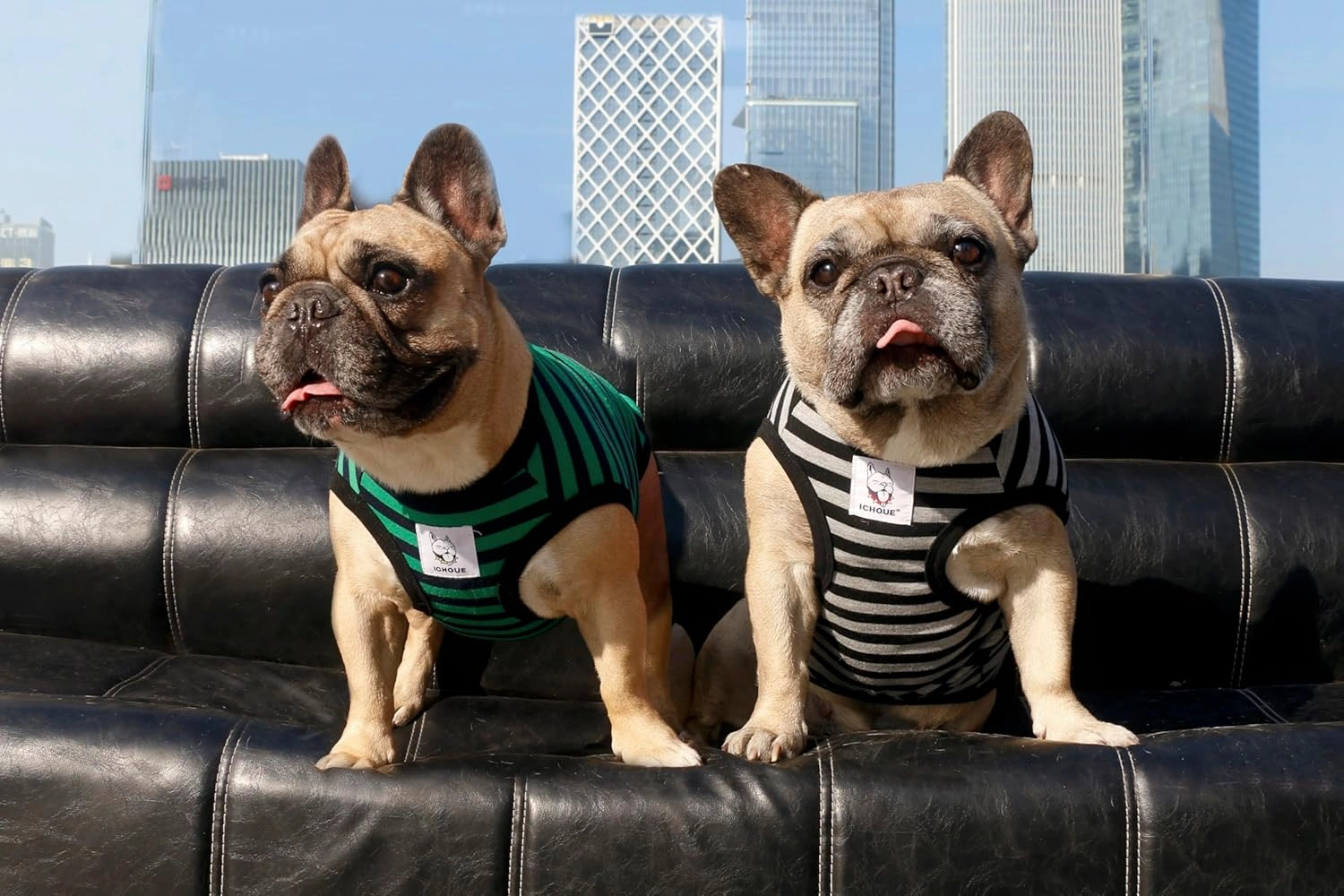 iChoue English Bulldog 100% Breathable Cotton Striped T Shirts Halloween Vest Clothes for Medium Dogs Tank Tops French Frenchie Pug Boston Terrier Pitbull Grey Black Stripes - XLarge