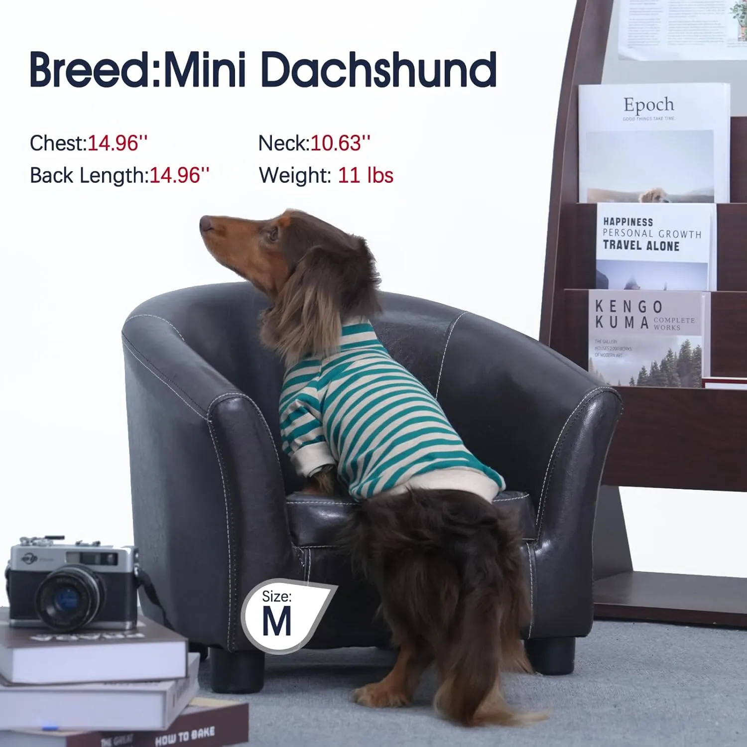 IECOii 2 Packs|4XLarge|High Neck Breathable Dog Pullover Shirt with Sleeve|Quick Dry Daily Wear|Soft Pjs Homewear,Pet Top Underwear|Full Belly Coverage Sweatshirt Great Dane,BlueStripe  Darkgrey