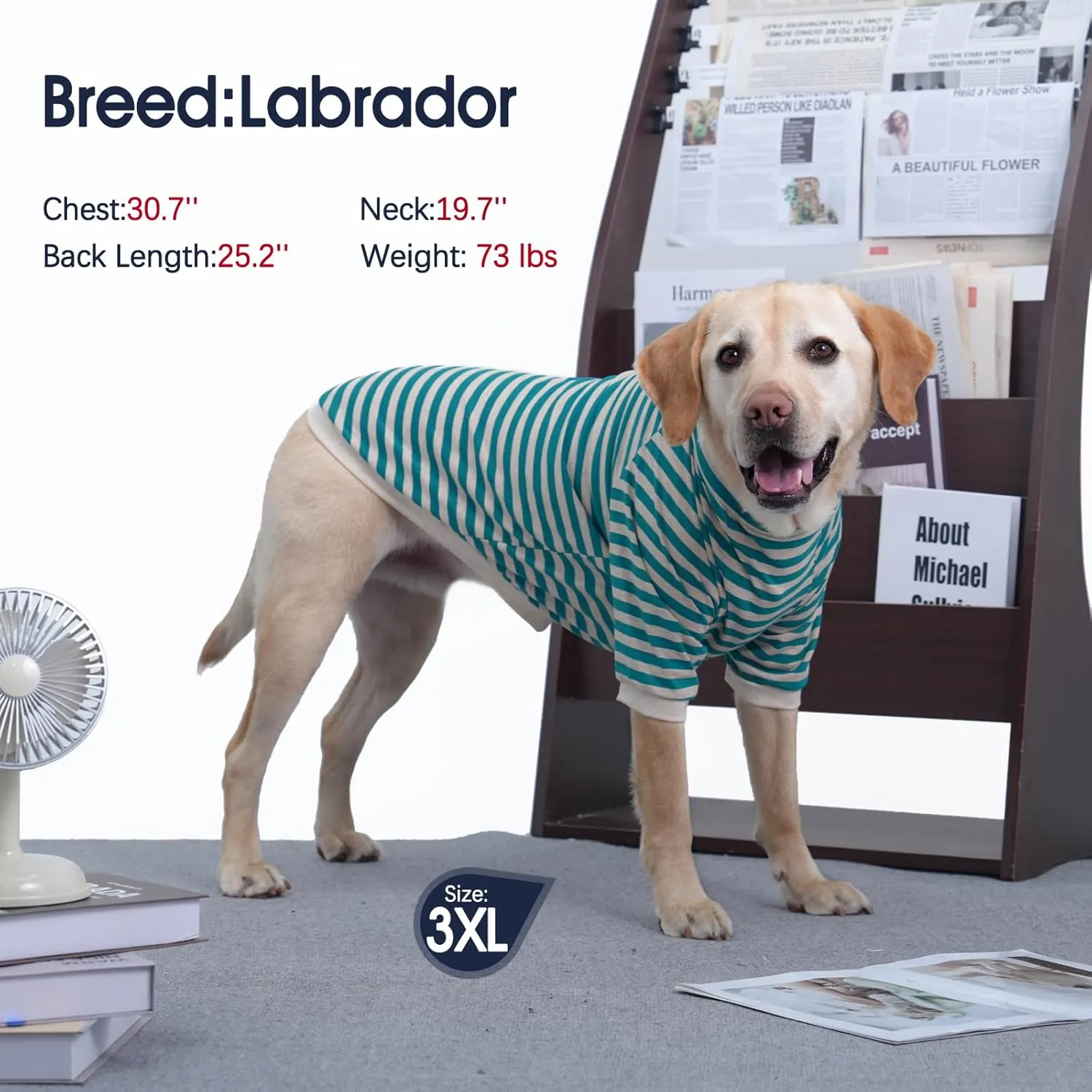 IECOii 2 Packs|4XLarge|High Neck Breathable Dog Pullover Shirt with Sleeve|Quick Dry Daily Wear|Soft Pjs Homewear,Pet Top Underwear|Full Belly Coverage Sweatshirt Great Dane,BlueStripe  Darkgrey