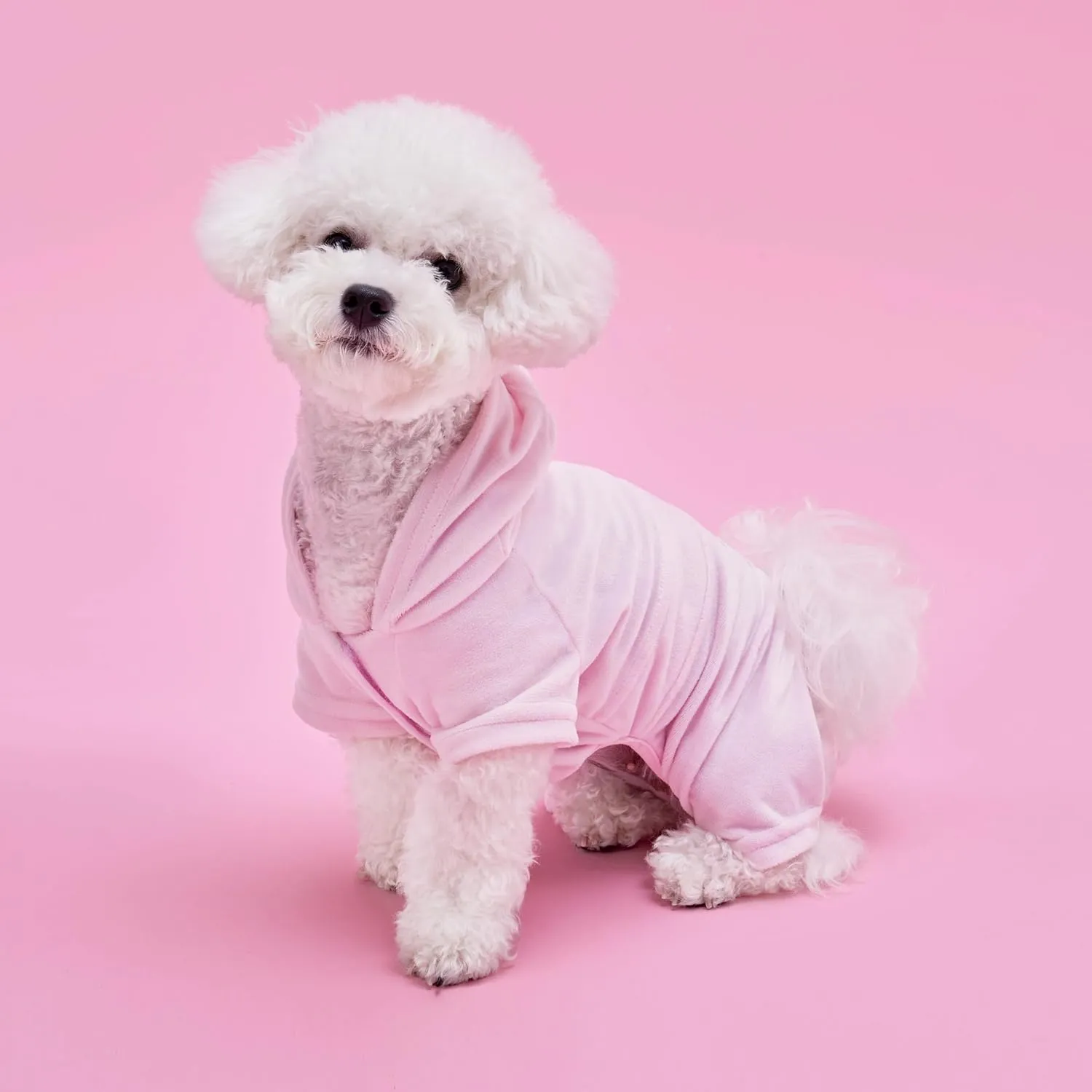 Juicy Couture Hooded Pet Juicy Bling Velour Tracksuit Chest 24 inches for Small Dogs and Cats - Pink - M/L