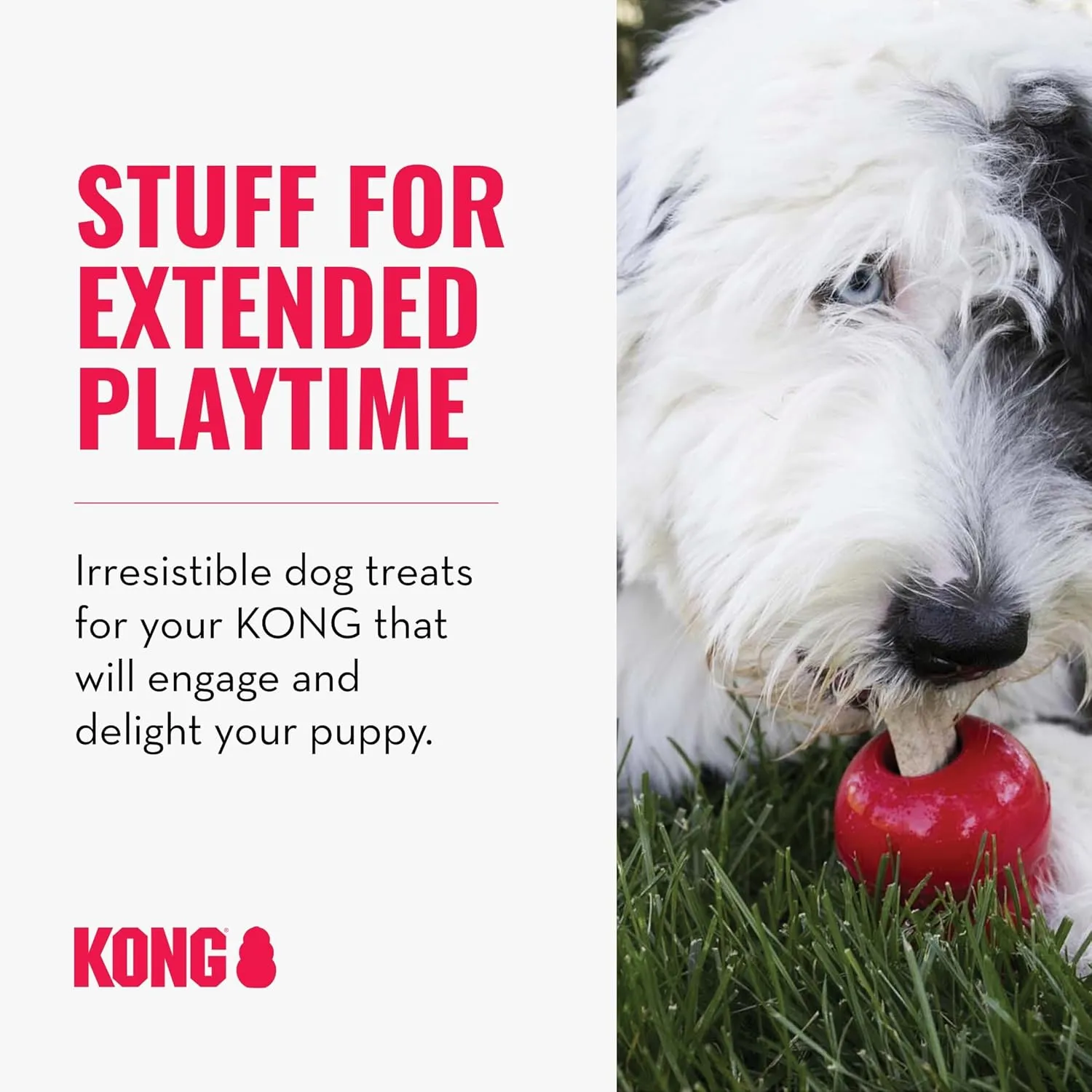 KONG Classic Toy & Ziggies Treats Combo Pack - Durable Chew Toy for Dogs - with Ziggies Chicken-Flavored Treats - Dog Accessories for Fun & Health - for Large Dogs