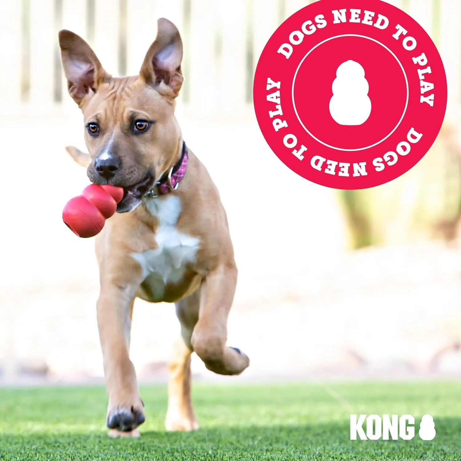 KONG Classic Toy & Ziggies Treats Combo Pack - Durable Chew Toy for Dogs - with Ziggies Chicken-Flavored Treats - Dog Accessories for Fun & Health - for Large Dogs