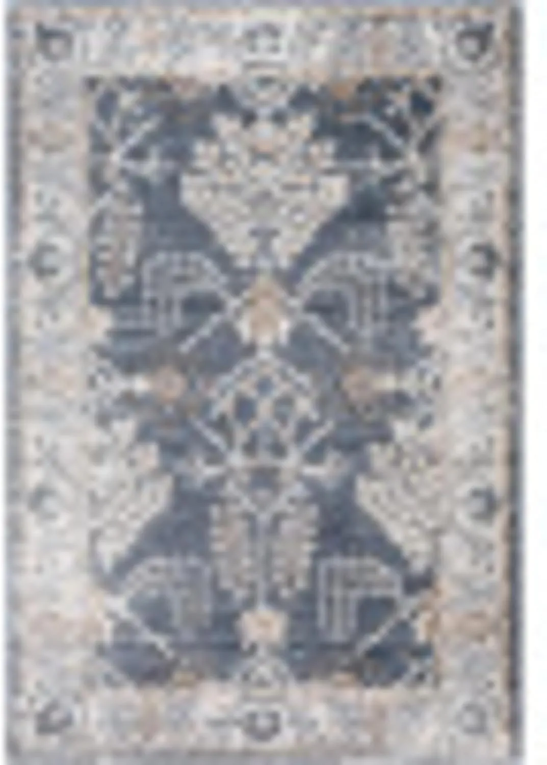 Livabliss St Tropez Vintage Area Rug, 5'3" x 7', Dark Gray, (5' x 7')