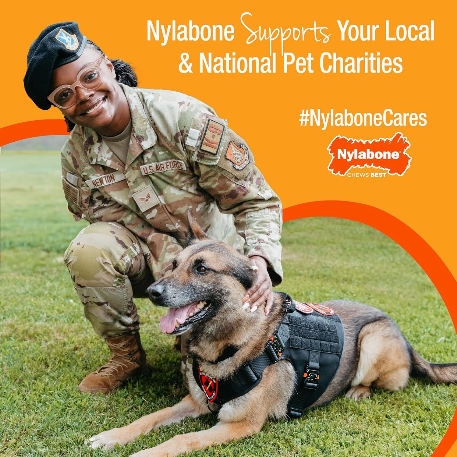 Nylabone Customer Favorites Power Chew Toy Bundle for Dogs, Indestructible Dog Toys for Aggressive Chewers, Pack of 3 Dog Toys, Flavor Medley, Large Dogs - Up to 50 lbs, 3 Pack