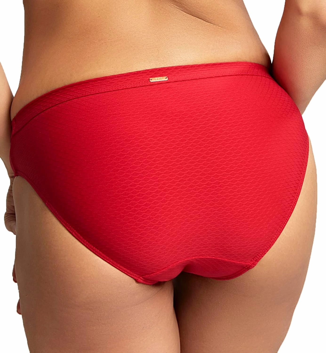 Panache Marianna Classic Swim Pant (SW1599)