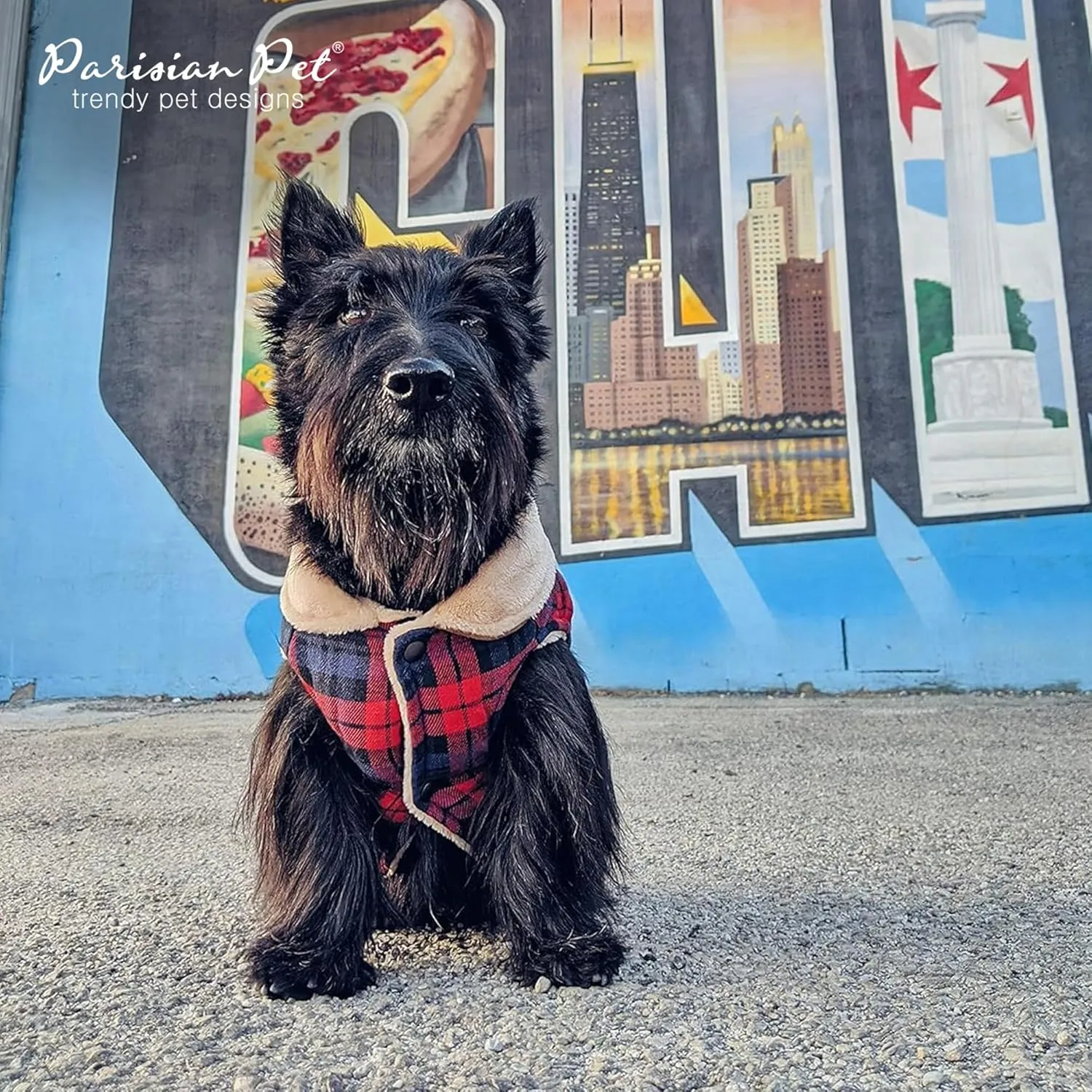 Parisian Pet Scottish Red Plaid Winter Coat - Windproof Jacket for Cold Weather - Warm Fleece Vest for Medium Dogs M
