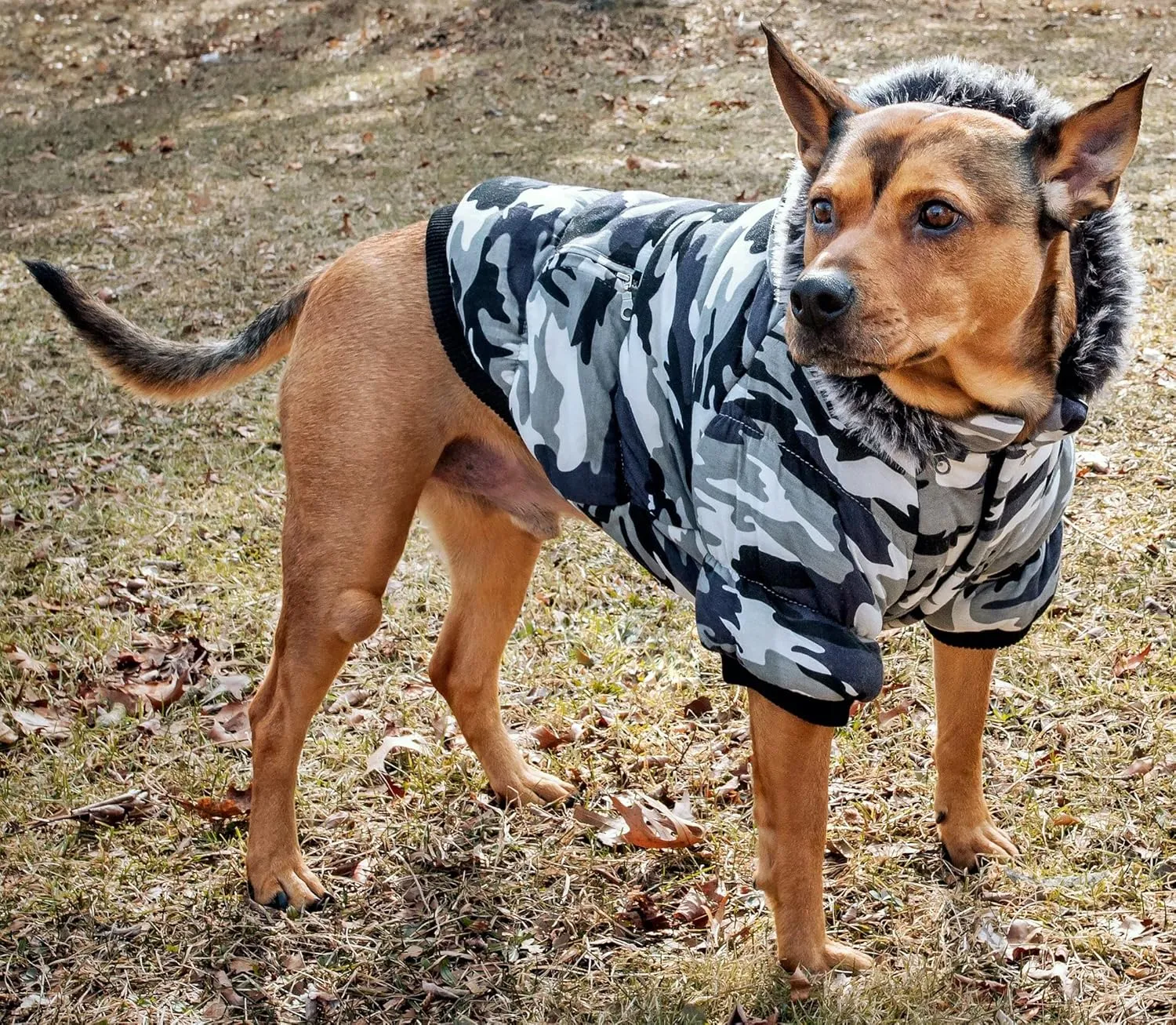 PET LIFE Classic Metallic Fashion Pet Dog Coat Jacket Parka w/ 3M Insulation and Removable Hood, Large, Deer Pattern