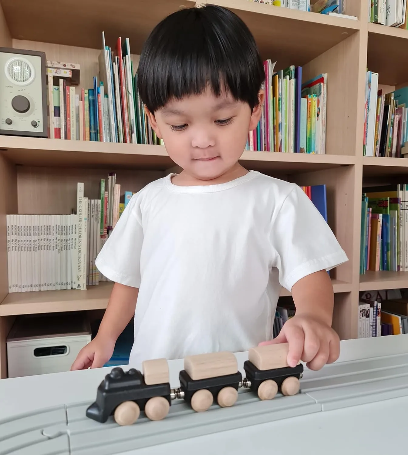 PlanToys Classic Train (6288)
