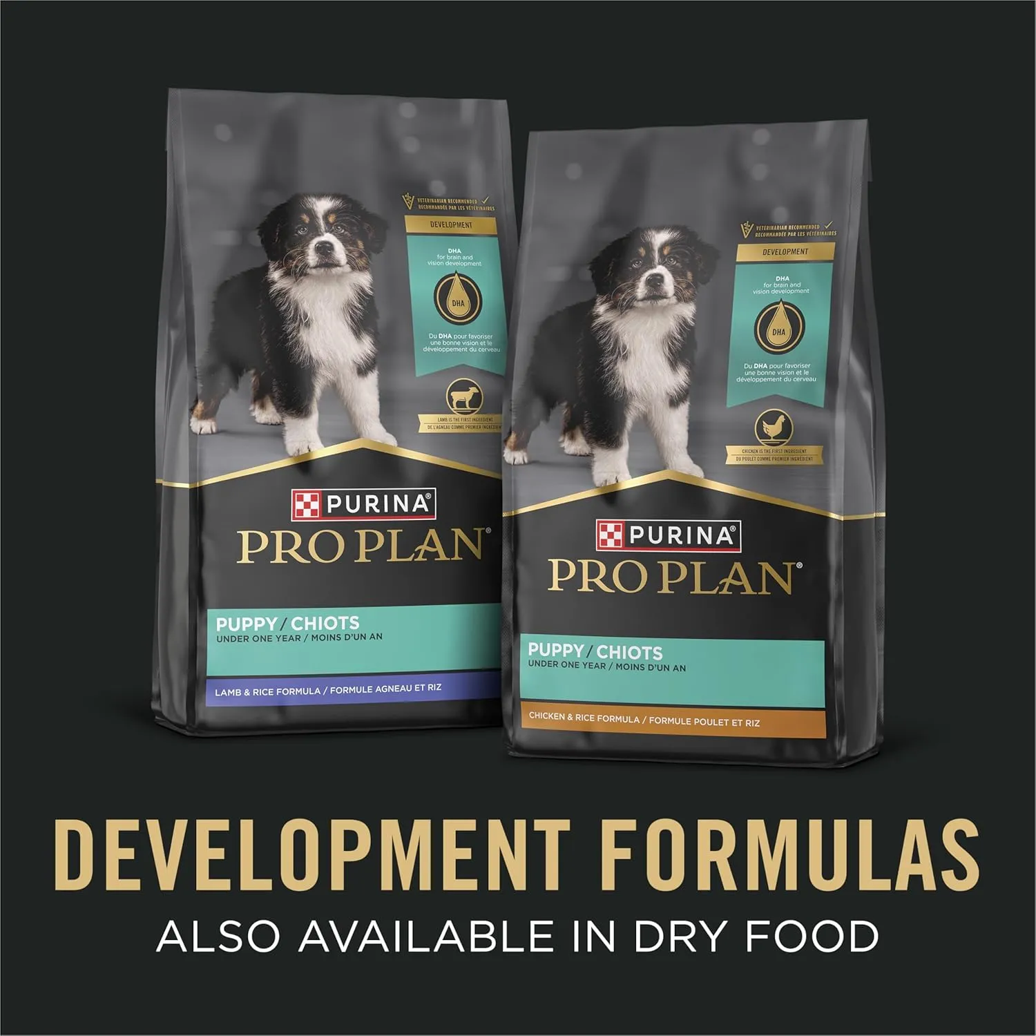 Purina Pro Plan Grain Free, High Protein Wet Puppy Food, FOCUS Classic Chicken Entree - (12) 13 oz. Cans