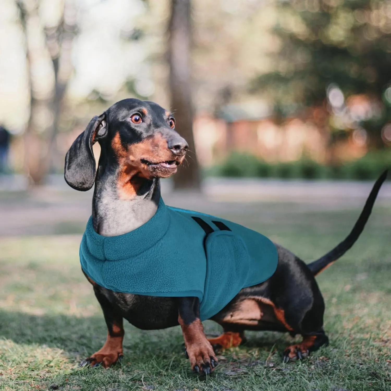 Queenmore XXS Dog Sweaters, Soft Fleece Vest Pullover Dog Jacket with Leash Hole, Warm Winter Dog Clothes Cold Weather Doggy Dachshund Sweater for Small Dogs Cats Boy or Girl (Peacock-Blue, XXS)
