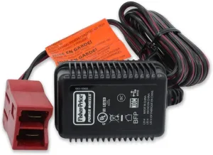 Replacement For CARTOON NETWORK WACKY RACING STOCK CAR POWER WHEELS RAPID BATTERY CHARGER by Technical Precision
