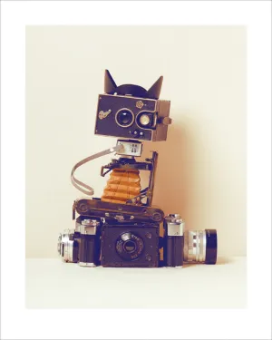 Robot Cat