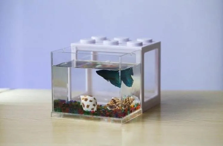 Stackable Mini Aquarium - Creative Desktop Décor for Home Office