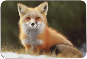 Stone Bath Mat,Funny Fox Print Diatomaceous Earth Bath Mat,Bathroom Mat Quick Dry Non-Slip,Super Absorbent Stone Bath Mats for Bathroom Shower Floor Kitchen Counter,Easy to Clean 23.6x15.7”