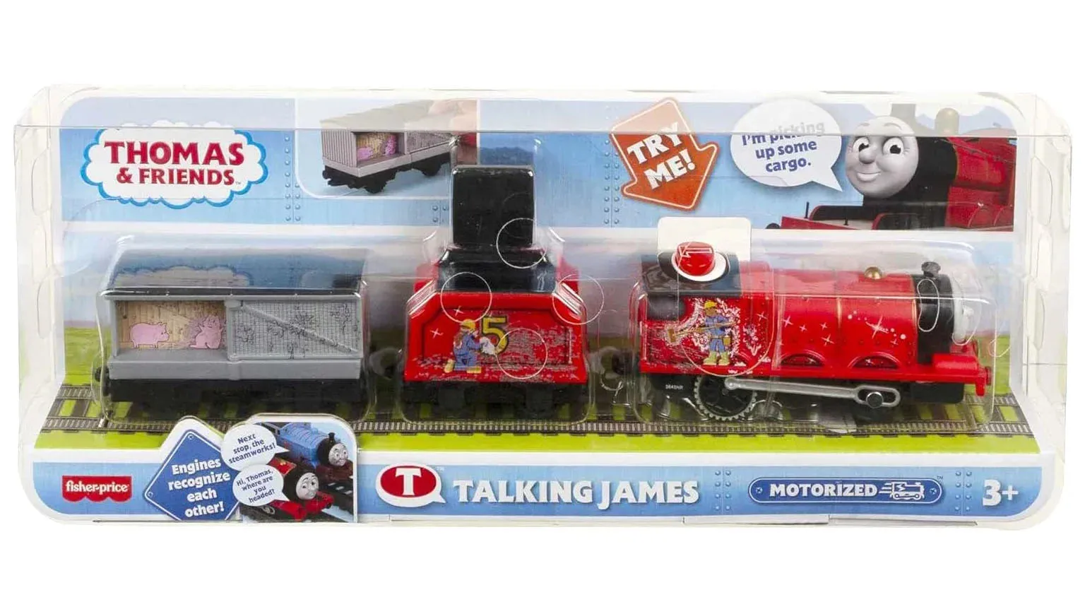 Thomas and Friends Talking James Toy Train