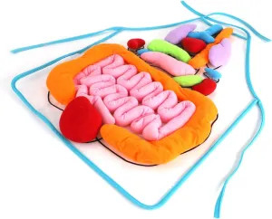 vocheer 3D Organ Apron, Anatomy and Physiology Human Body Model for Kids, Montessori Educational Toys for Homeschool Preschool Science Kits for Kids over 3 , Transparent