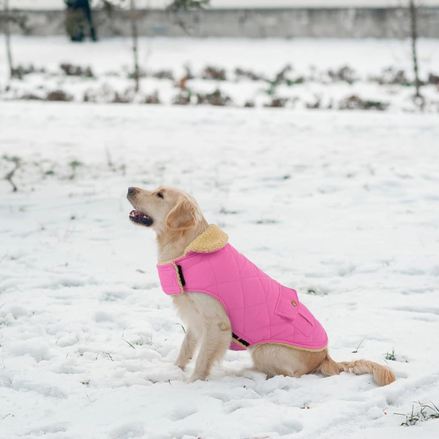 Winter Coat for Small and Medium Dogs, Puppy Plaid Jacket, Cotton Coat for Cold Weather, Windproof Warm Dog Garments, Pet Thickened Outfits Indoor Outdoor, Pink XS